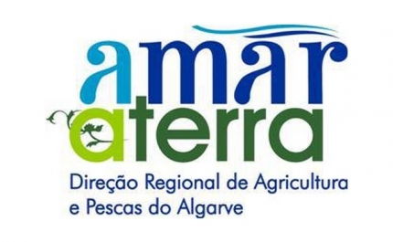 Projeto Mercados Regionais