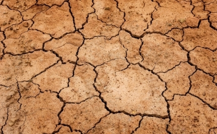 Seca: Agravamento da seca extrema em Portugal continental no final do junho