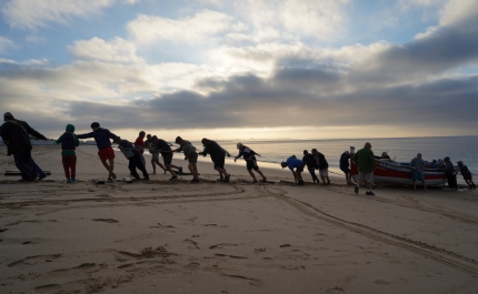 Salvar a Arte Xávega Tradicional da Meia Praia