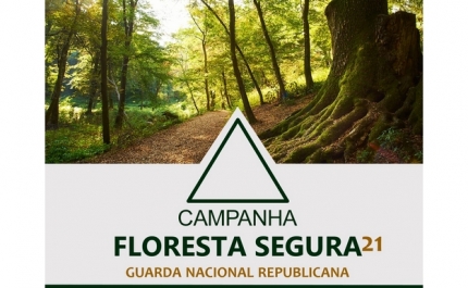 Campanha Floresta Segura 2021 – Fase de sensibilização