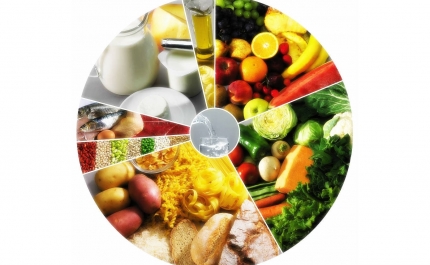 FORMAÇÃO «ALIMENTAÇÃO E NUTRIÇÃO NO DESPORTO» EM LOULÉ
