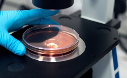 Licenciatura em Bioquímica comemora 30 anos