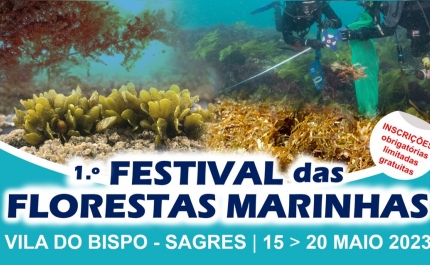 1.º FESTIVAL DAS FLORESTAS MARINHAS 