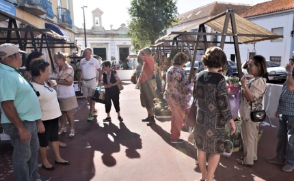 Lagoa Bio Market volta a animar Praça da República