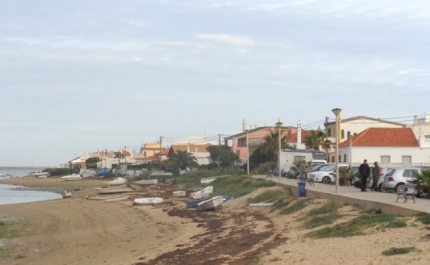 Limpar a Ria Formosa