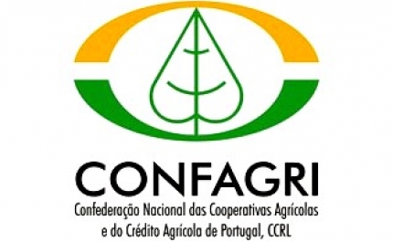 Sessão de informação Incêndios do Algarve
