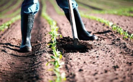 Município de Lagos promove formação no setor agrícola