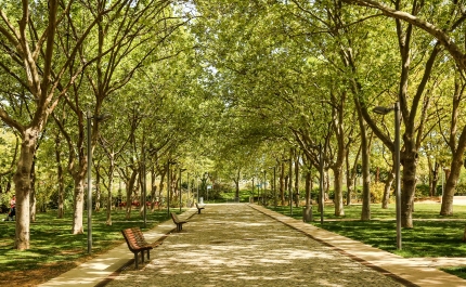 «BORA LÁ AO PARQUE!» DINAMIZA ATIVIDADES PARA PROMOVER ESPÍRITO COMUNITÁRIO EM LOULÉ