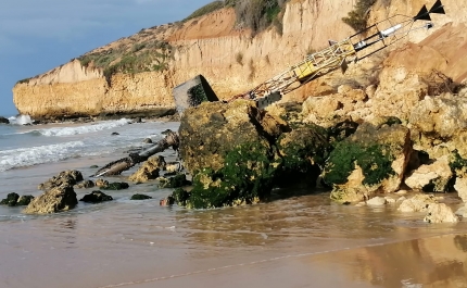 Boia cardeal dá à costa na praia Maria Luísa em Albufeira