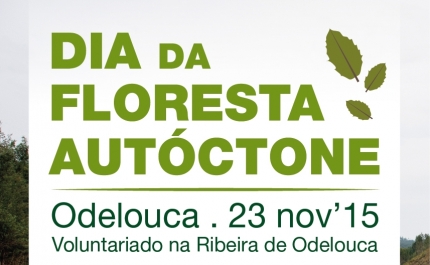 Dia da Floresta Autóctone | Município de Silves promove ação de voluntáriado e sensibilização