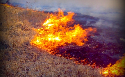 FARO | INCÊNDIO NA ZONA DO RIO SECO EM RESCALDO 
