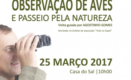 Castro Marim convida à Observação de Aves e Passeio pela Natureza - Viva a Experiência - 