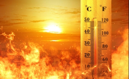 Incêndios: Mais de 90 concelhos de 10 distritos do continente em risco máximo