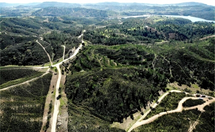 Concelho de Silves vai ter áreas integradas de Gestão da Paisagem