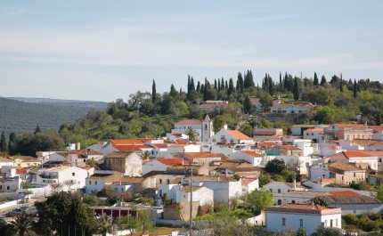 MUNICÍPIO DE ALBUFEIRA ABRE CONCURSO PÚBLICO PARA CONSTRUÇÃO DE 40 FOGOS EM PADERNE