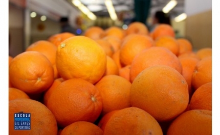 Mercado Avenida São João de Deus dedica semana à laranja algarvia pelo 10.º ano consecutivo