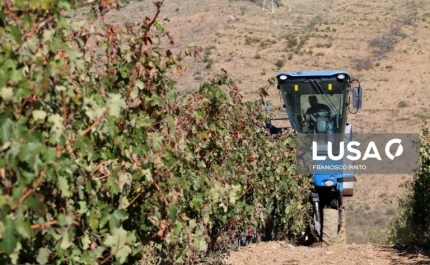 Governo altera regime da pagamentos base para jovens agricultores e pequena agricultura
