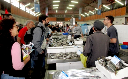 PCP com as populações em defesa da Ria Formosa e da actividade produtiva