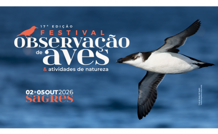 Programa do Festival de Observação de Aves já está disponível online