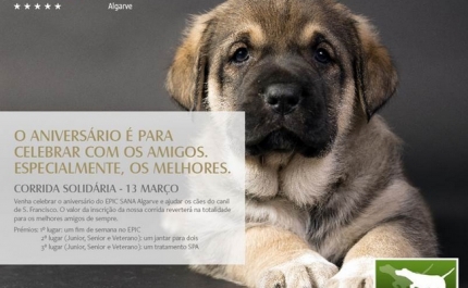 Corrida Solidária a favor do Canil de São Francisco – 13 março