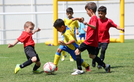 Município de Albufeira abre Candidaturas para Apoio ao desenvolvimento desportivo   