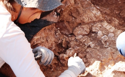 Castelo de Silves | INTERVENÇÃO ARQUEOLÓGICA TERMINA HOJE