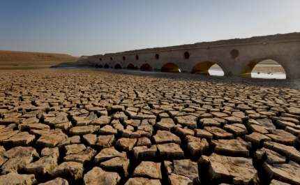 Seca: Fundo Ambiental vai destinar 5 ME a sensibilização e soluções de contingência
