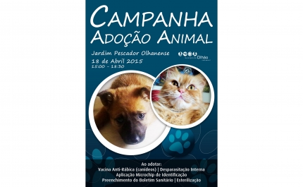 Município de Olhão lança repto para adotar amigos de 4 patas