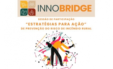 SESSÃO DE PARTICIPAÇÃO «ESTRATÉGIAS PARA AÇÃO» 