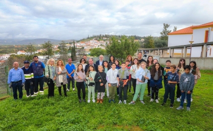 MUNICÍPIO DE ALBUFEIRA CELEBRA DIA DA FLORESTA AUTÓCTONE COM PLANTAÇÃO DE ÁRVORES DA REGIÃO