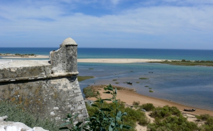Praia da Fábrica  eleita uma das melhores do mundo