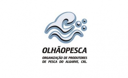 Pescadores algarvios pedem mais flexibilidade nas interdições de conquilha