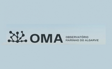 Observatório Marinho do Algarve quer impulsionar cooperação entre ciência e empresas
