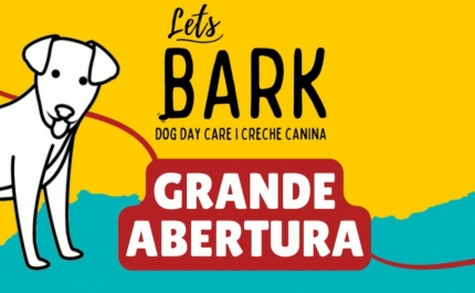 Maior creche canina de Faro inaugura este mês