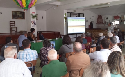 MUNICÍPIO DE SILVES PARTICIPA EM AÇÃO DE SENSIBILIZAÇÃO PARA CRIAÇÃO DE NOVA ZONA DE INTERVENÇÃO FLORESTAL