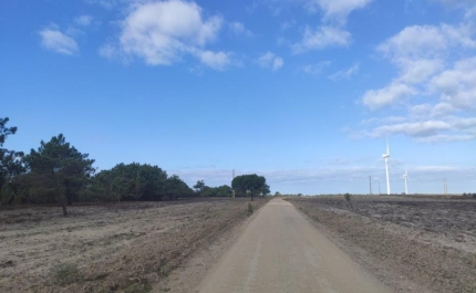 Concluída limpeza e manutenção da Rede Primária de Defesa da Floresta Contra Incêndios de Lagos, Aljezur e Vila do Bispo