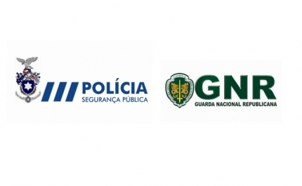 PSP e GNR vão poder atuar nas áreas uma da outra no verão