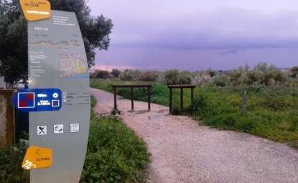 Ação de Limpeza da ECOVIA/EUROVELO em Castro Marim 