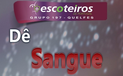 Escoteiros de Quelfes promovem colheita de sangue