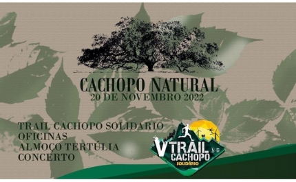 Cachopo Natural