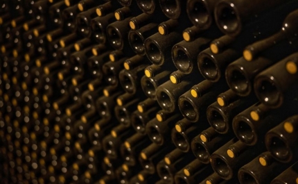 Exportação de vinhos portugueses sobe 13% até agosto para 581 ME