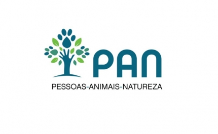 Preços do gás natural: Reação do PAN às medidas anunciadas pelo Governo