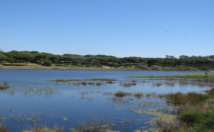 RESERVA NATURAL LOCAL DA FOZ DO ALMARGEM E DO TRAFAL INTEGRA REDE NACIONAL DE ÁREAS PROTEGIDAS