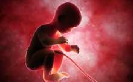CÉLULAS ESTAMINAIS DO TECIDO DO CORDÃO UMBILICAL COM POTENCIAL PARA TRATAR DISPLASIA BRONCOPULMONAR EM BEBÉS PREMATUROS 