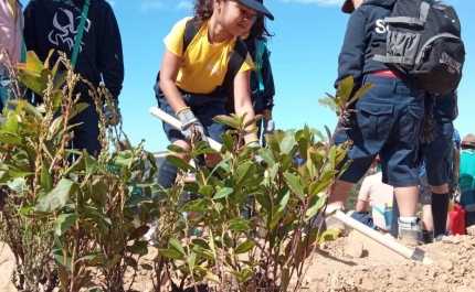 ALGAR e os Escuteiros do Algarve uniram-se para a plantação de 800 árvores