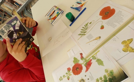 Férias da Páscoa em Portimão com atividades para crianças dos 6 aos 12 anos