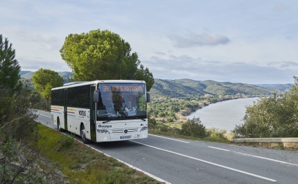 Assembleia Municipal de Lagos aprova um voto de congratulação ao passe «Viajar pelo Algarve sem Limites»