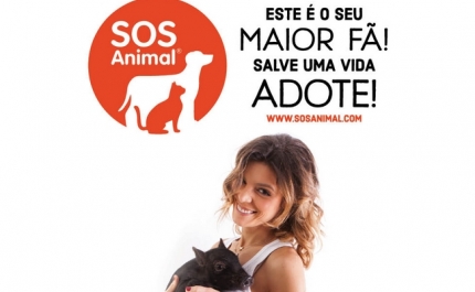 Na Quinta Pedagógica de Silves | «VETERINÁRIO POR UM DIA» FALA DA CAMPANHA «O SEU MAIOR FÃ»