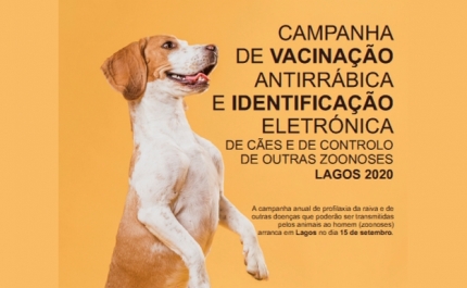 Campanha de vacinação e identificação eletrónica de cães arranca em Lagos