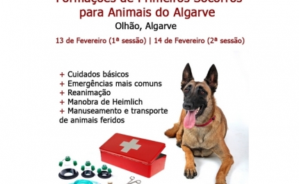 Olhão pioneiro na região em formação de primeiros socorros para animais